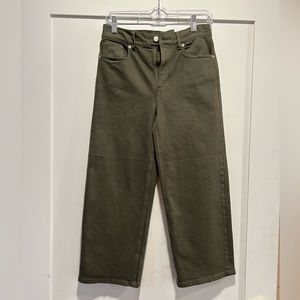 NWT Green Loft pants. Petite, size 25/0. High rise and wide leg.